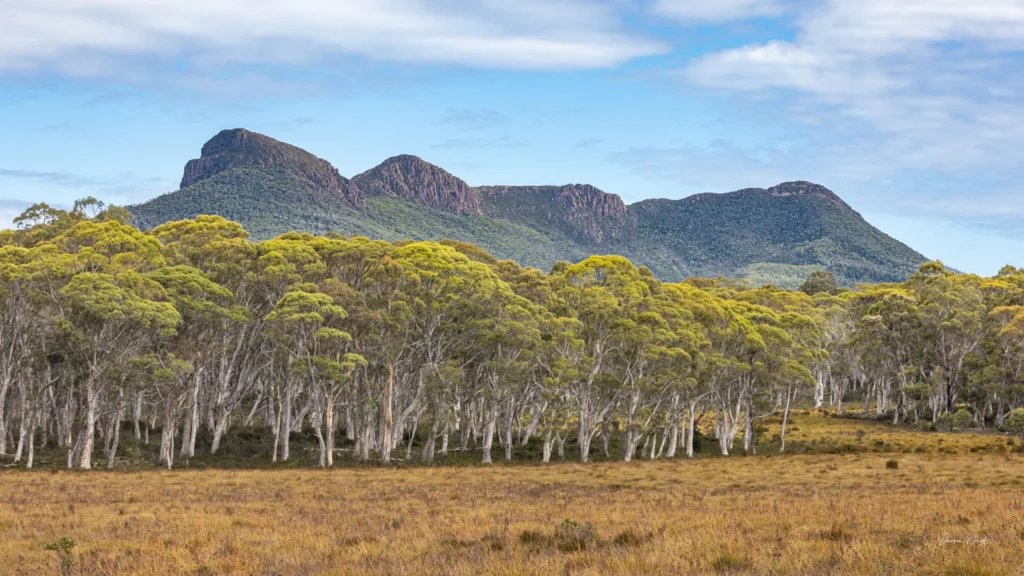 Central Highlands, Tasmania